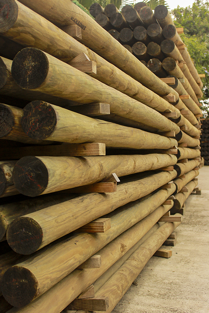 Postes de madera tratada para electrificación y rollizos resistentes y duraderos para exteriores, de distintos diámetros y largo.