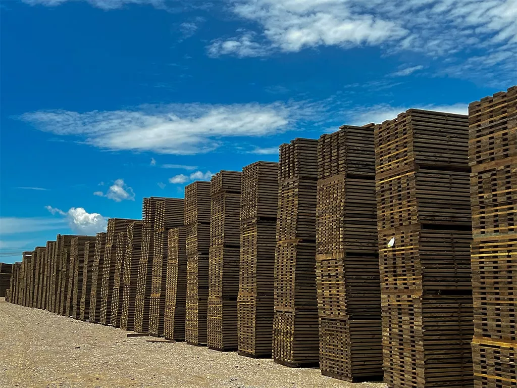 Madera dimensionada, el stock de madera mas grande de guatemala