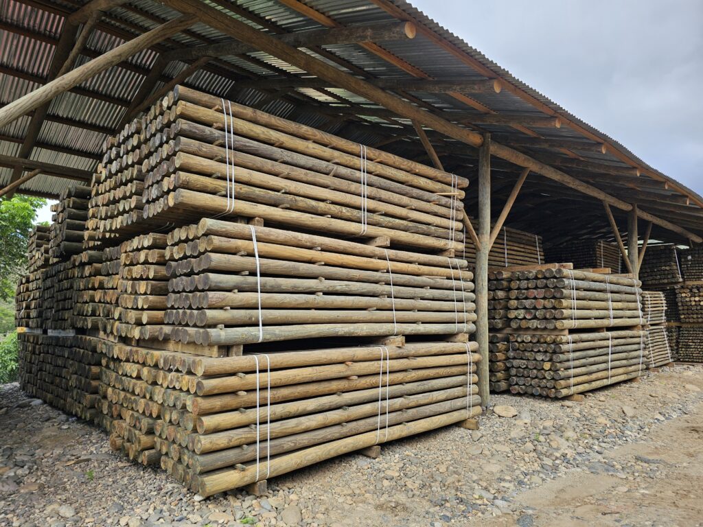 Postes de madera tratada, postes de electrificación y postes rollizos, venta en todo Guatemala
