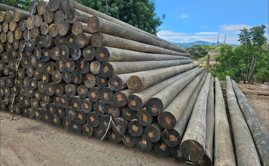 postes de madera tratada, en Guatemala, venta de postes
